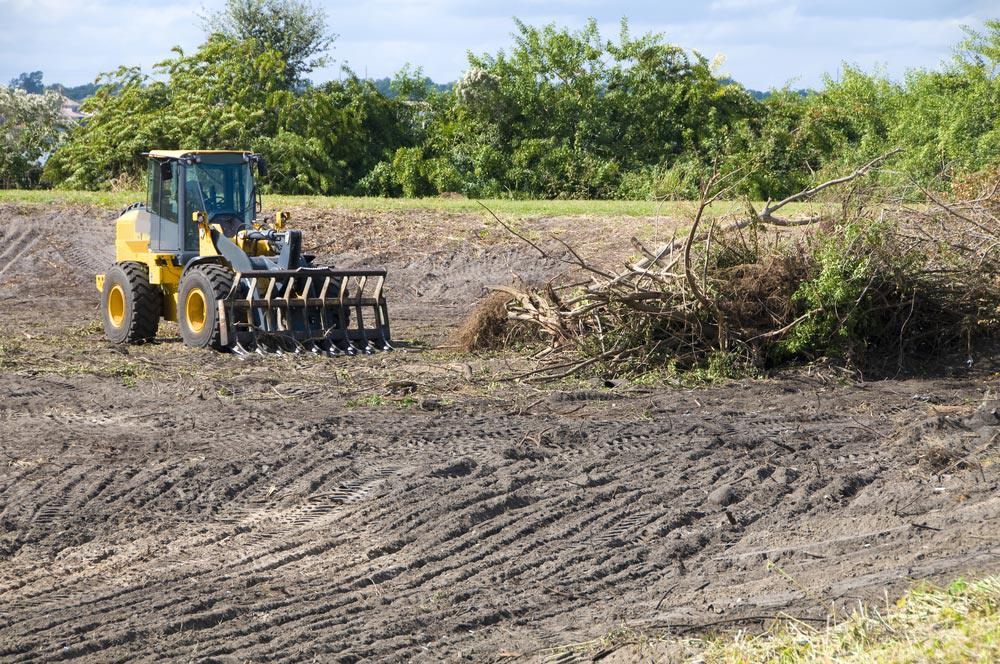 loader-clearing-a-land (1)